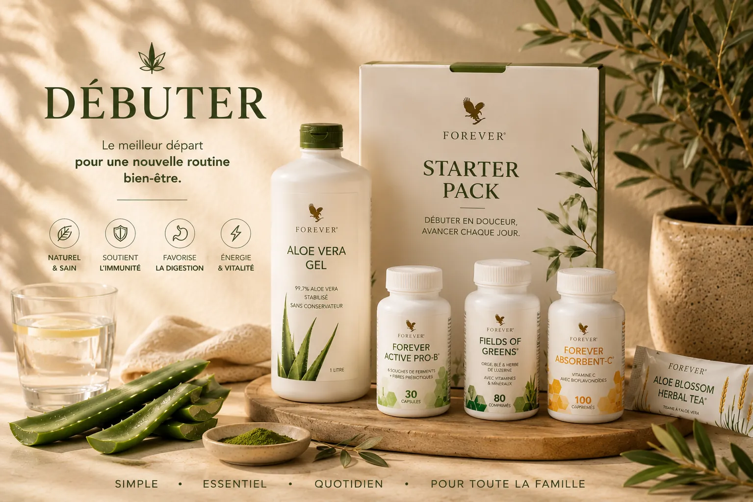 Débuter avec l’Aloe Vera : par où commencer ?